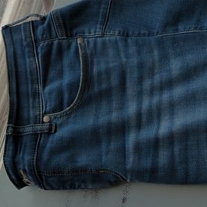 Torrid Bombshell Skinny Jeans